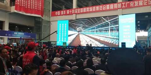 相約清豐 搜菇亮相河南食用菌大會，引領食用農產品新篇章